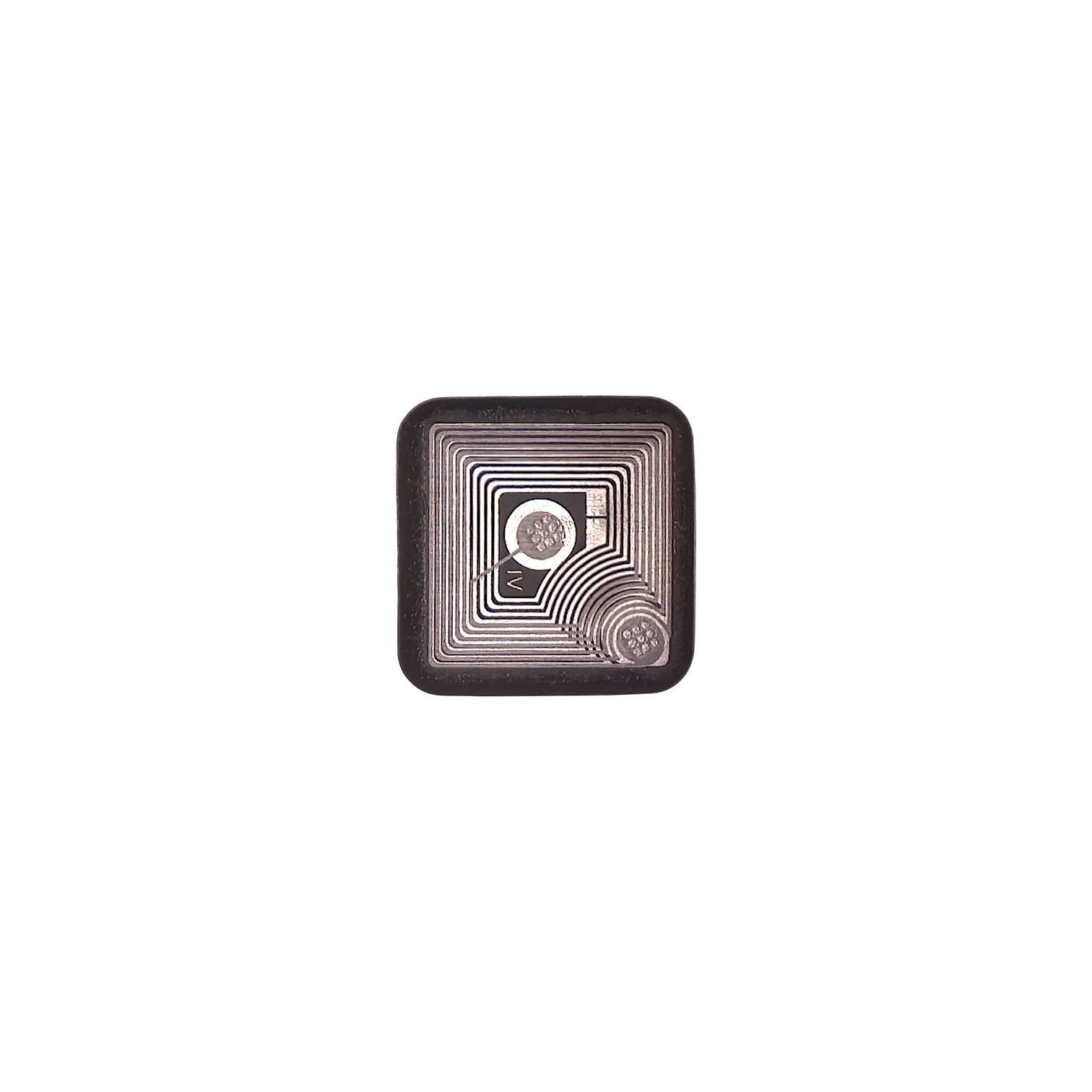 white-Photoroom (77)