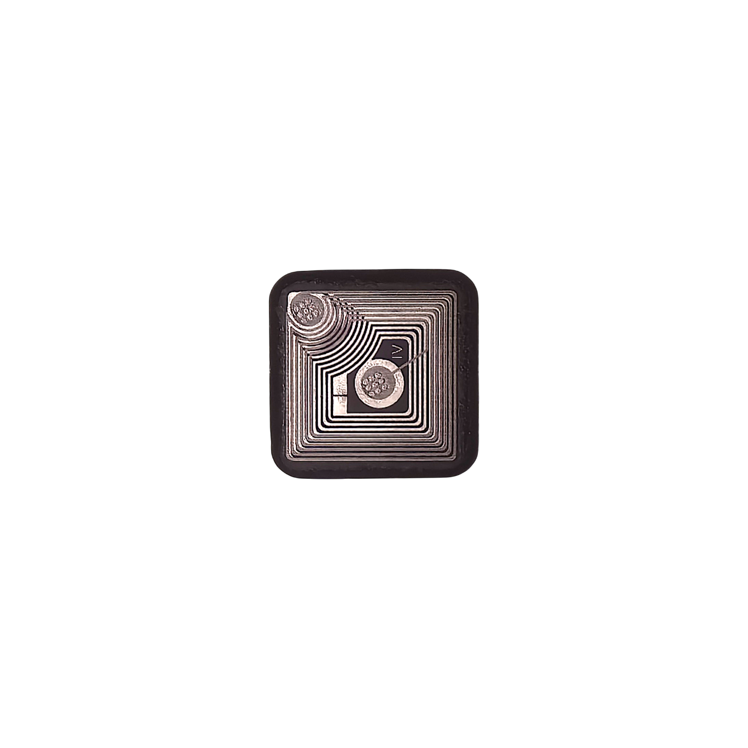 white-Photoroom (78)
